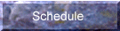 schedule button