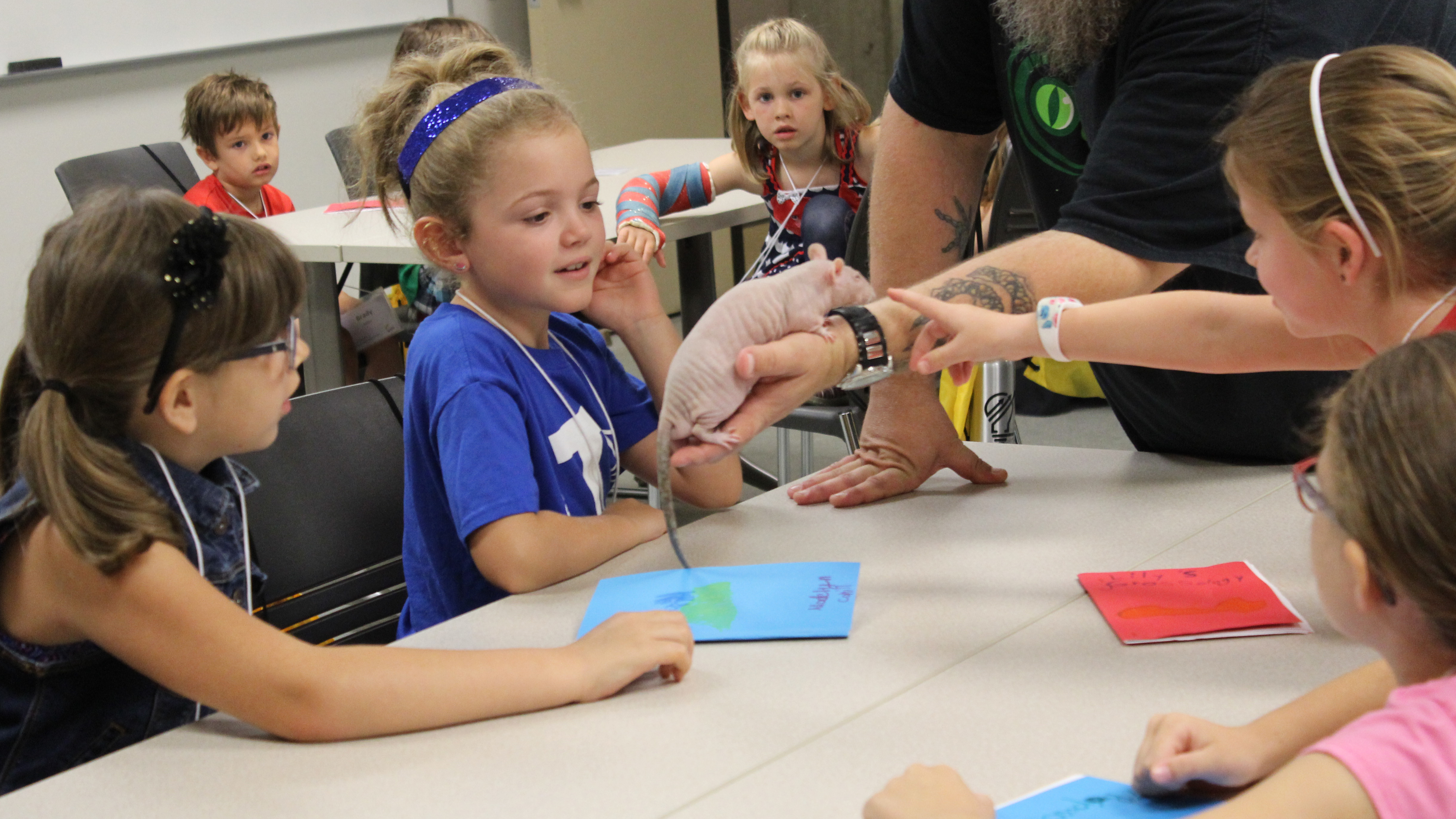 Camp Innovation For Gifted Students Northern Kentucky University Greater Cincinnati Region