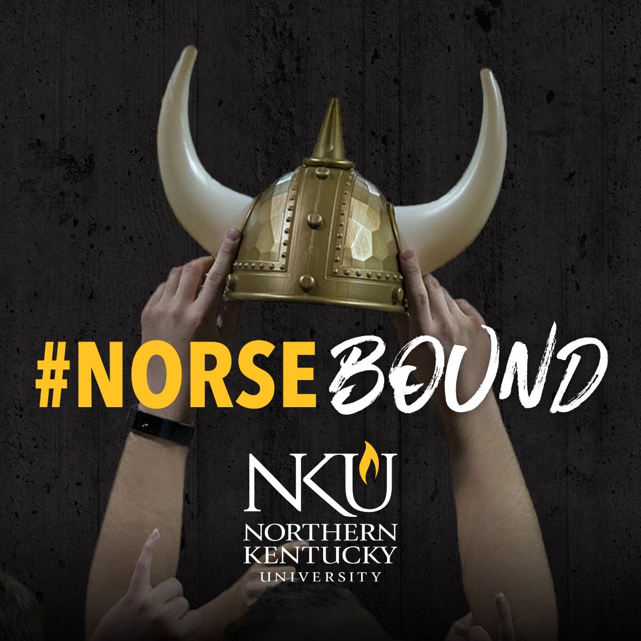 Download #NorseBound profile picture, with image of hands holding viking helmet