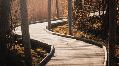 Pathways to a creative life