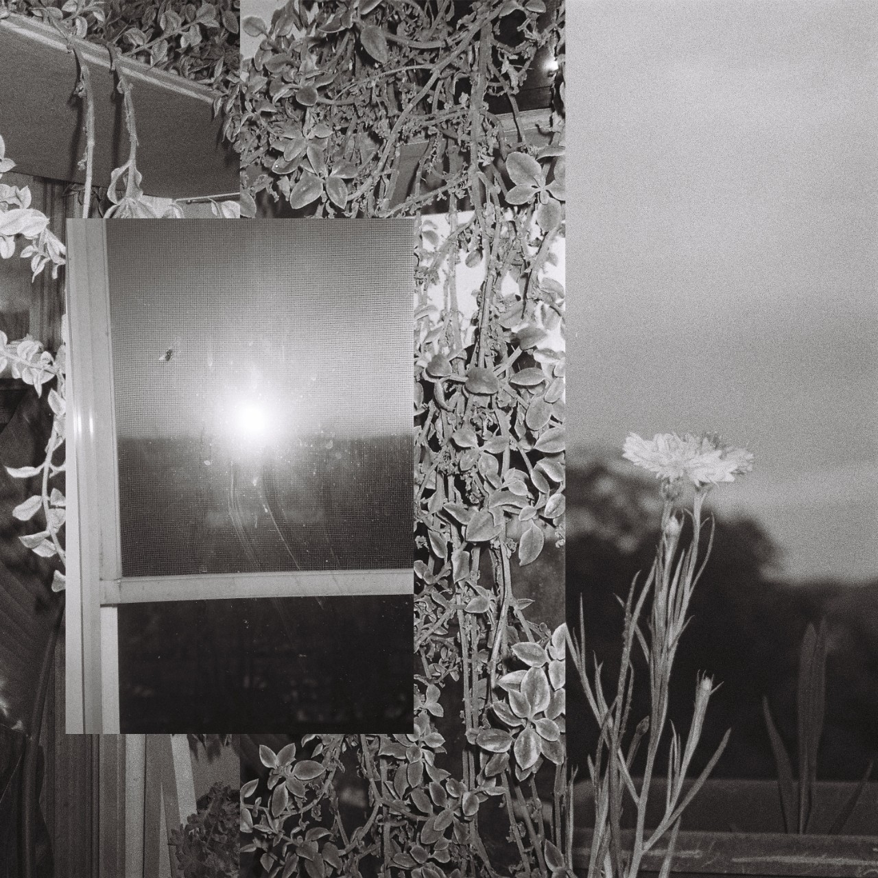 Black and white abstract photos