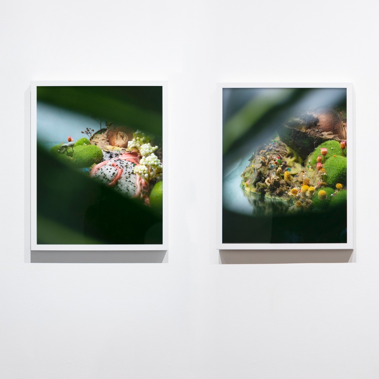 Photo prints on gallery wall