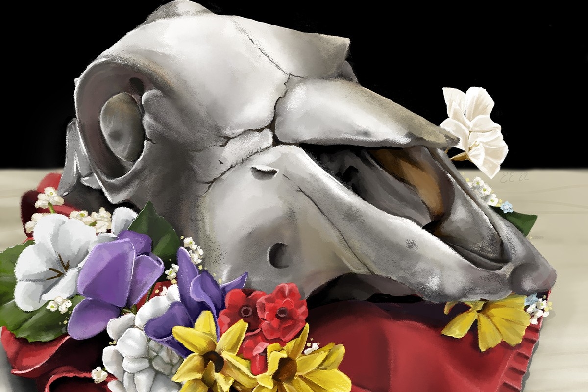 digital painting of cow skull and flowers