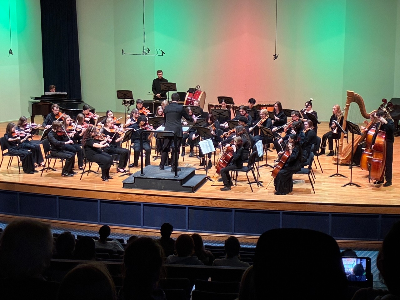 Conductor on stage with string musicians