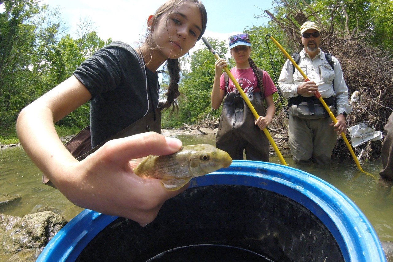 A middle school-aged camp participant holds a fish over a bucket.