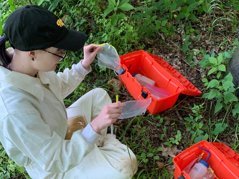NKU Biological Sciences student conducts research outside in the woodlands of NKU's Research and Education Field Station