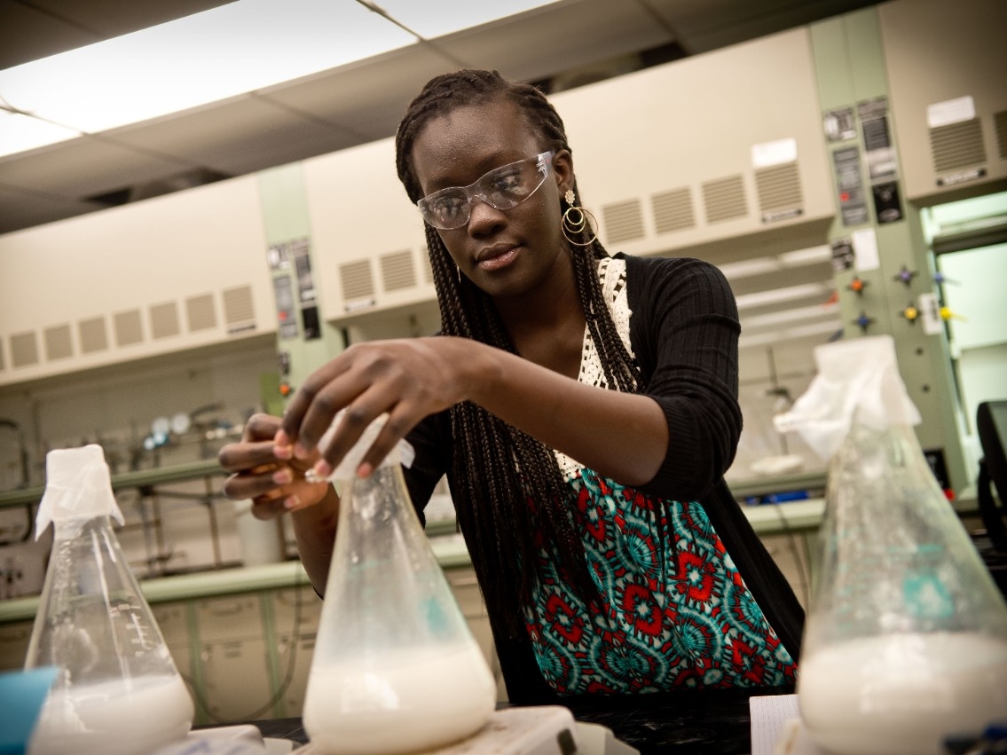 Student covering filled beakers with protective film