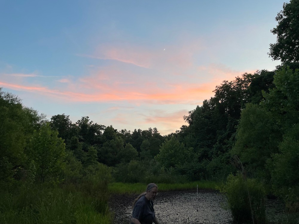 Dr. Maggie Whitson at a pond using iNaturalist at NKU REFS at dusk.