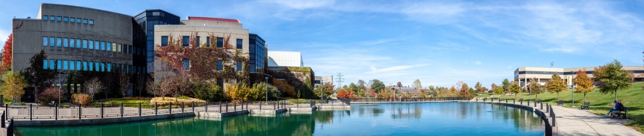 SCHOOL OF THE ARTS