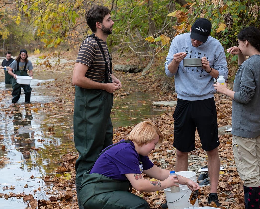 Students doing research in a creek