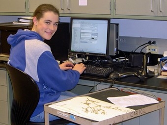Biology student working at a computer in the Herbarium