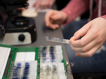 People conducting hands-on research in the Neuroscience Research Facility