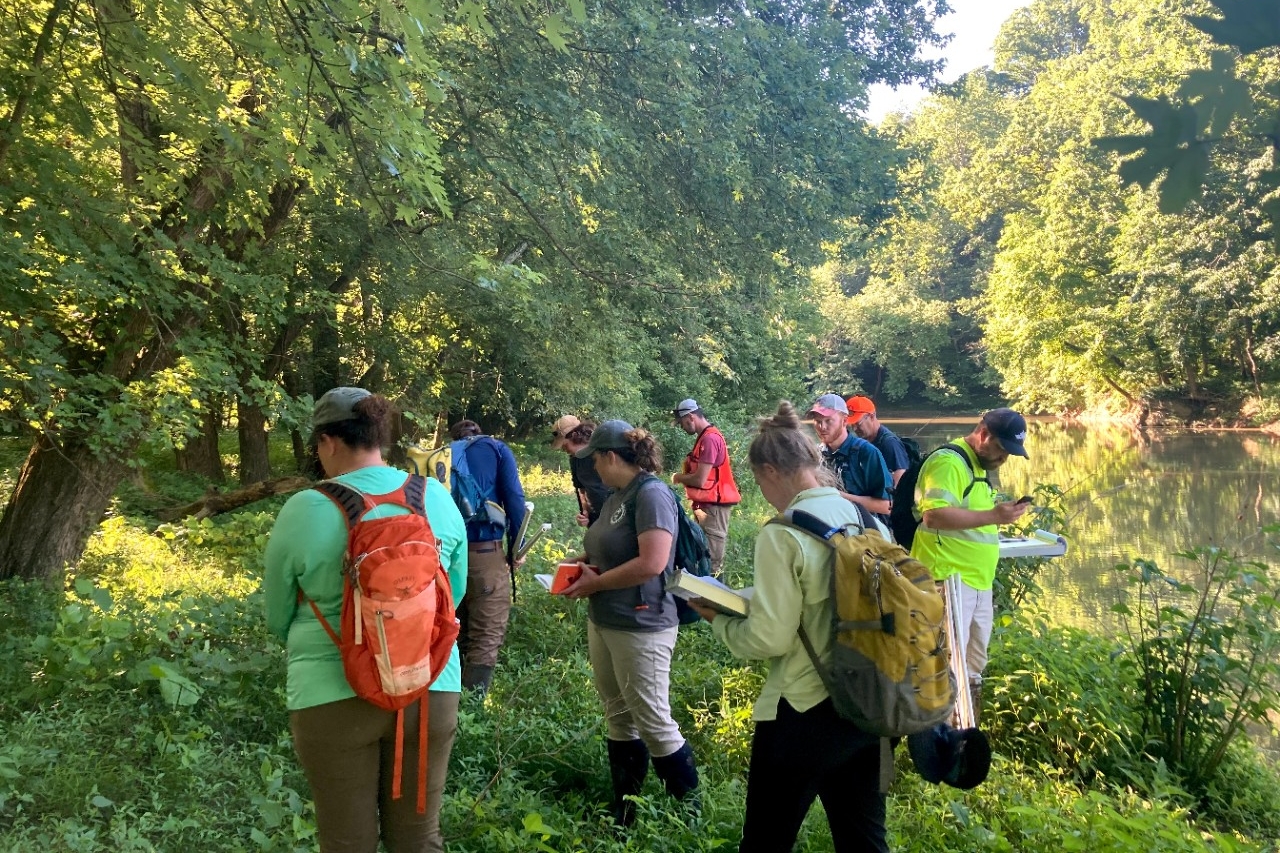 Micro-credential students study the wetlands of REFS.