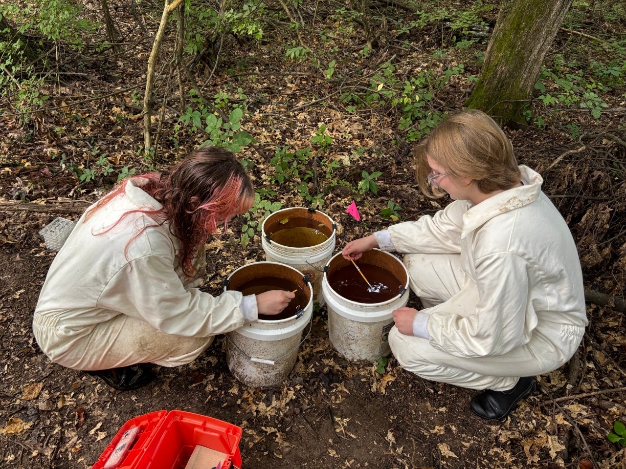 Student researchers evaluate samples collected in buckets at REFS.