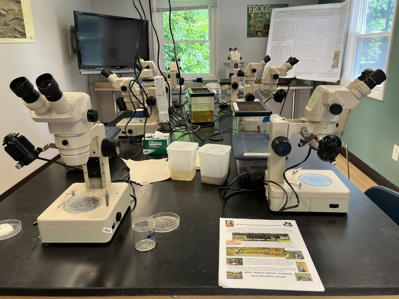 Inside the NKU REFS house features a laboratory with lots of microscopes.