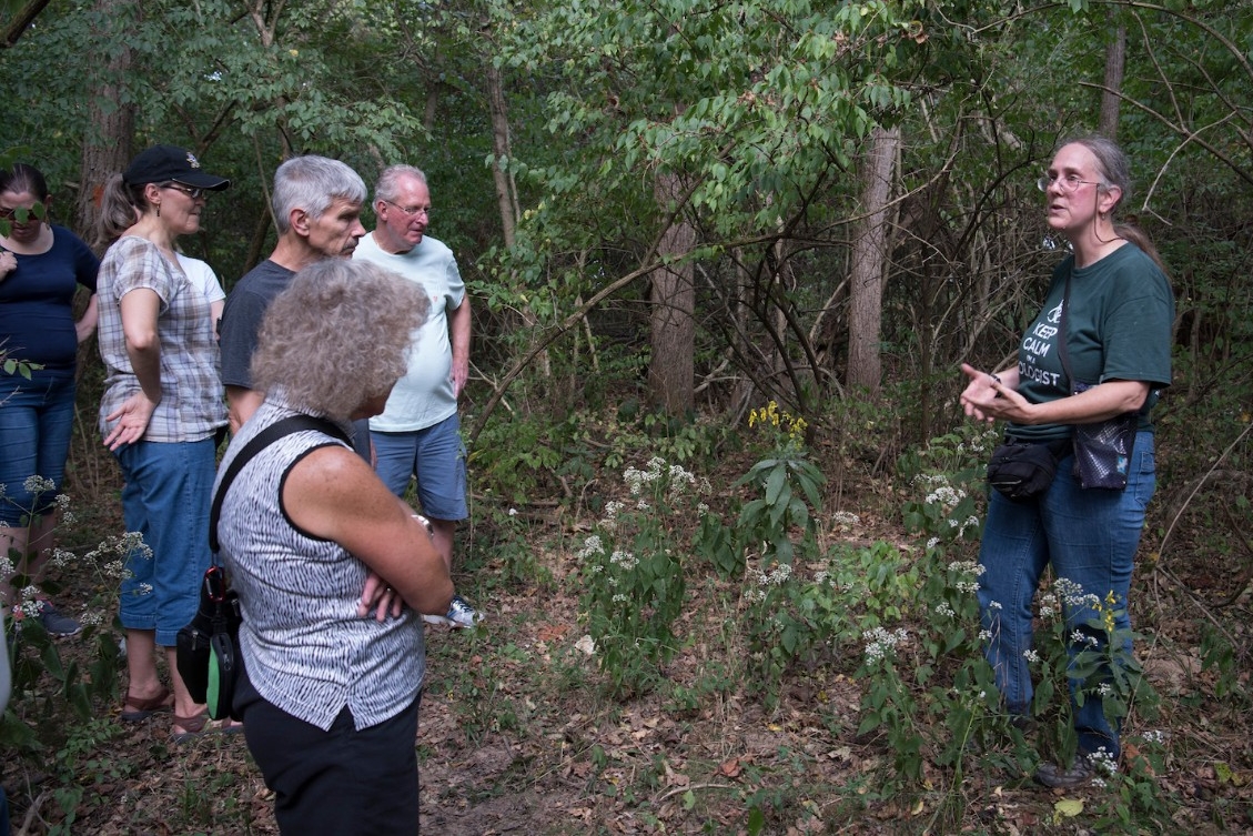 Stock photo of hands moving soil around a sapling.