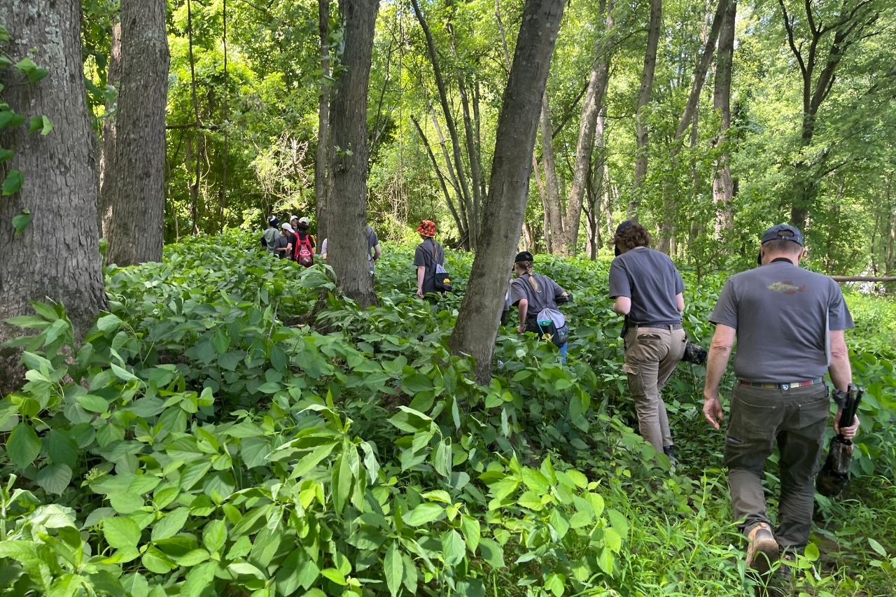 Stock photo of hands moving soil around a sapling.