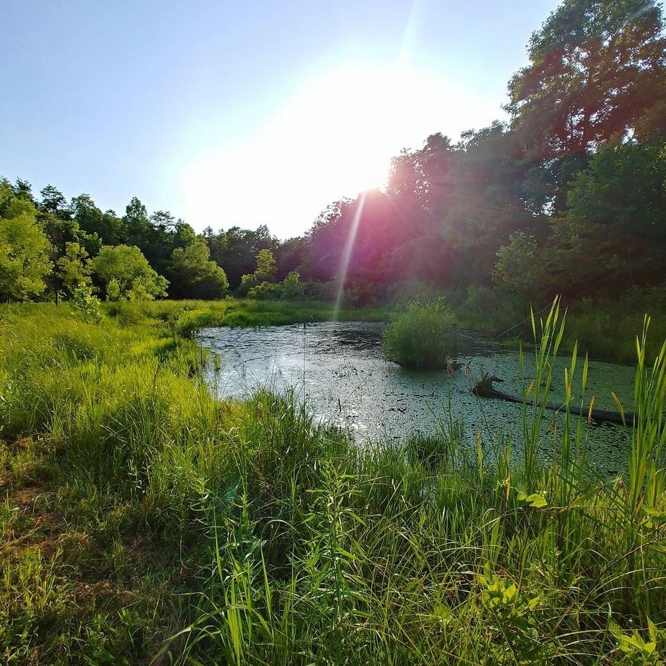 Photo Credit: Campbell County Conservation District saww