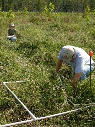A student watches a wetland delineation lesson at NKU REFS.