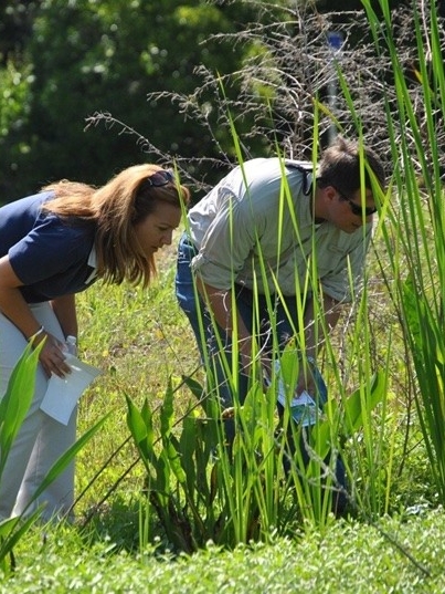 Wetlands Management Professional Micro-Credential A vibrant red flower found in the wetlands of NKU REFS.
