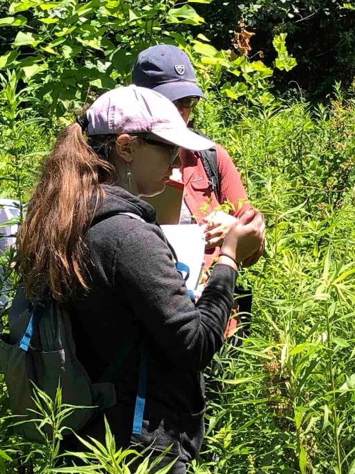 Wetlands Management Professional Micro-Credential Micro-credential students learn how to identifify wetland plants at NKU REFS.