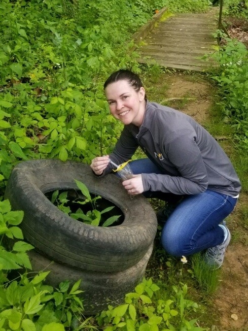 Photo of Dr. Parker collecting samples from a tire in the woods.