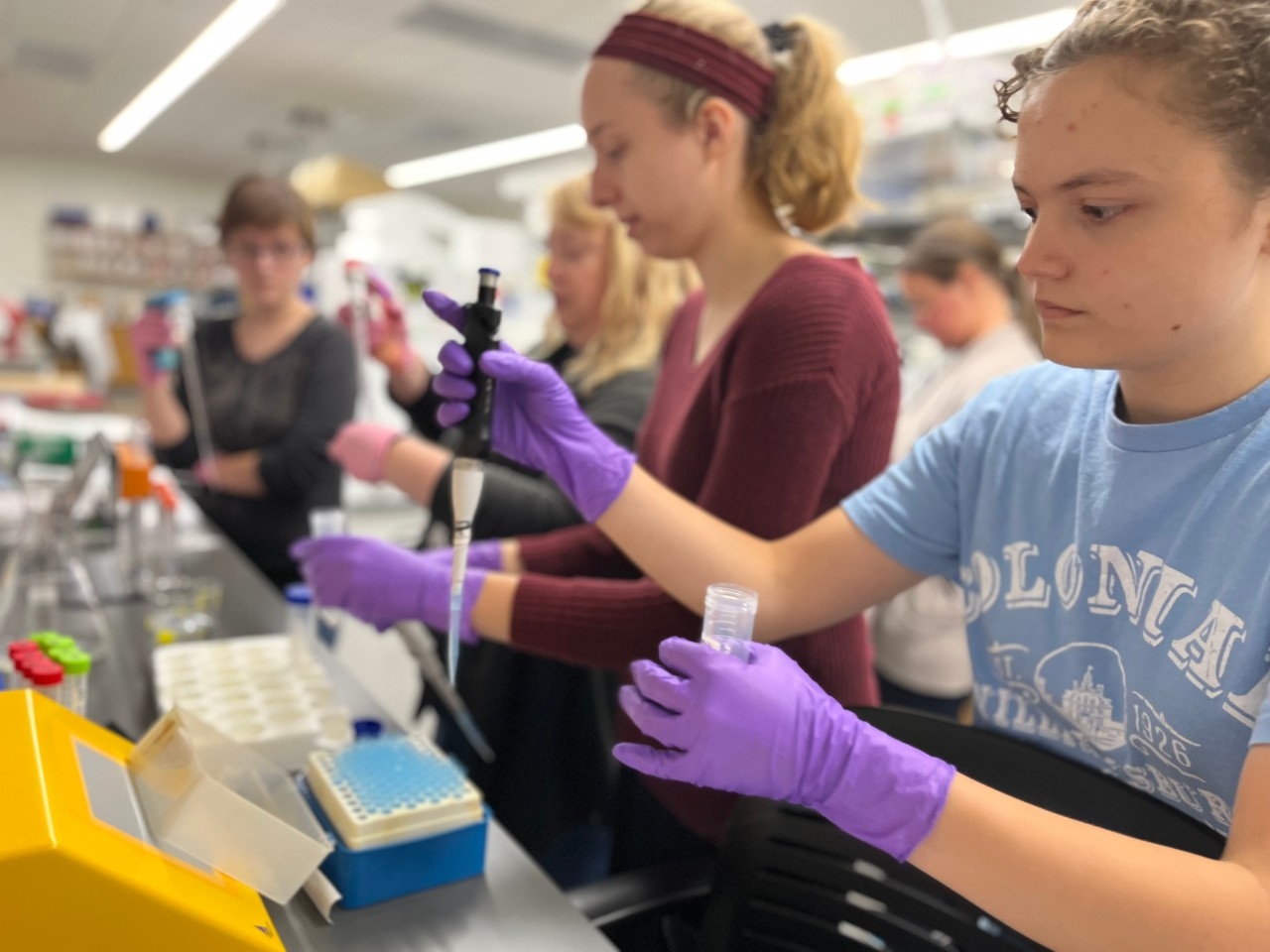 Dr. Lauren Williamson and students conduct grant-funded research in the lab together.