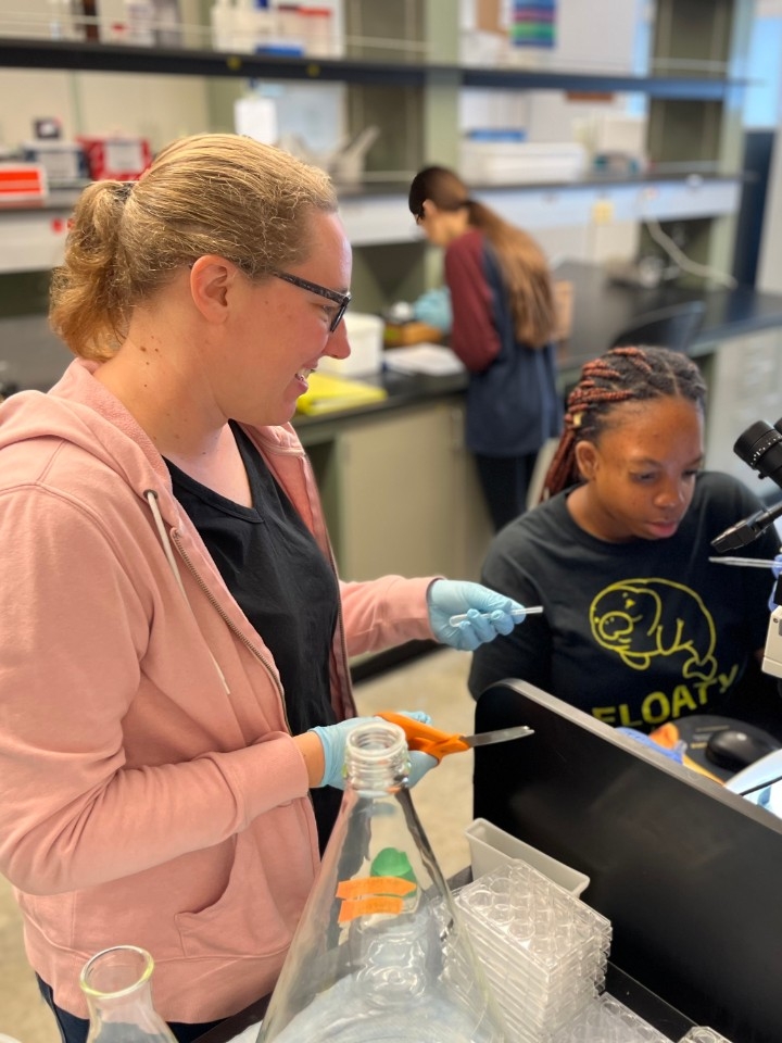 Dr. Shifley and students conduct research in the lab.