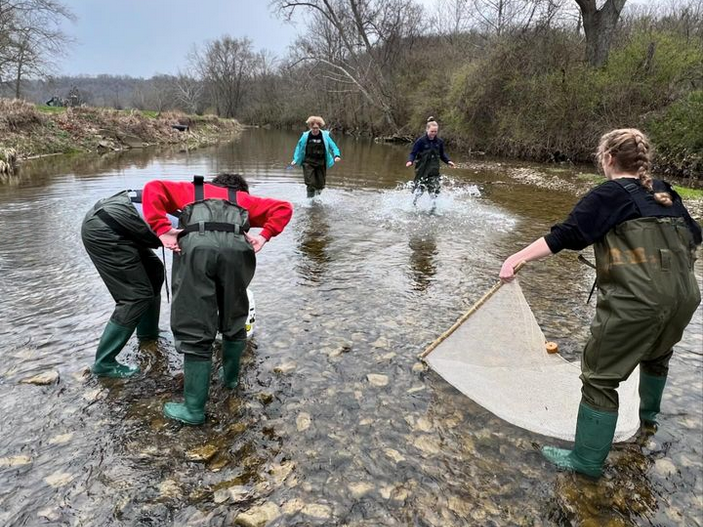 Herps and Ichs Club members collecting samples with nets and buckets in a creek bed.