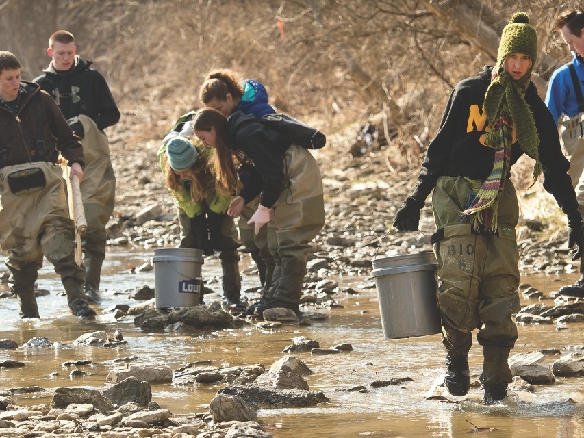 NKU Biological Sciences students doing field research, collecting samples from a stream.