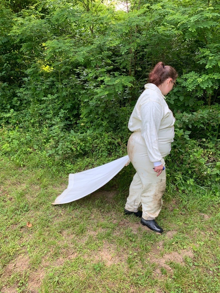 Dragging for ticks