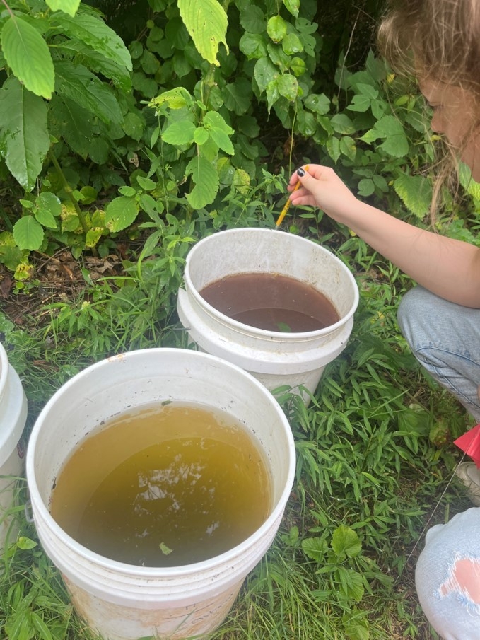 mosquito traps