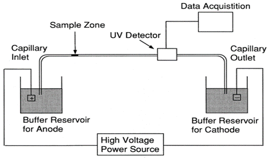 Capillary Electrophoresis Instrument Diagram
