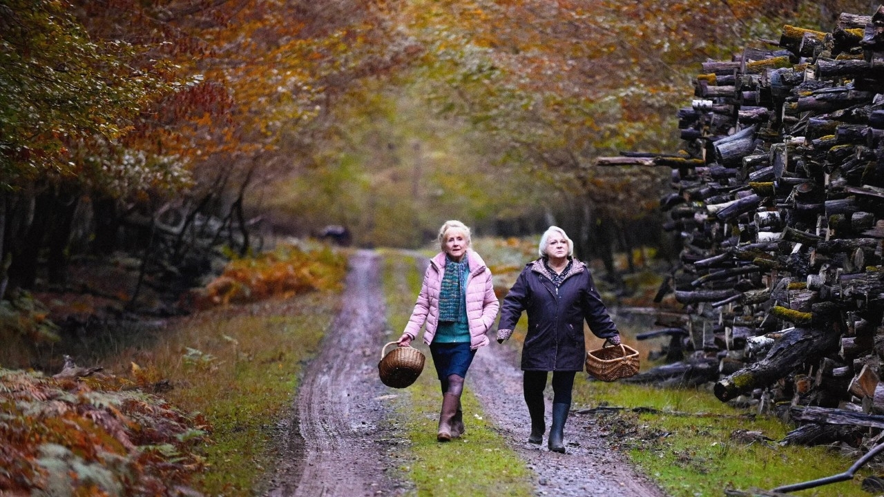Image from When Fall is Coming