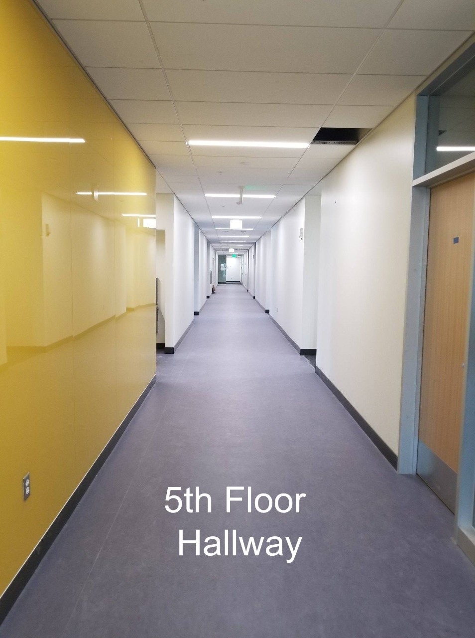 Founders Hall 5th Floor Hallway