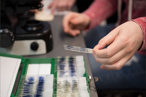Neuroscience Research Facility