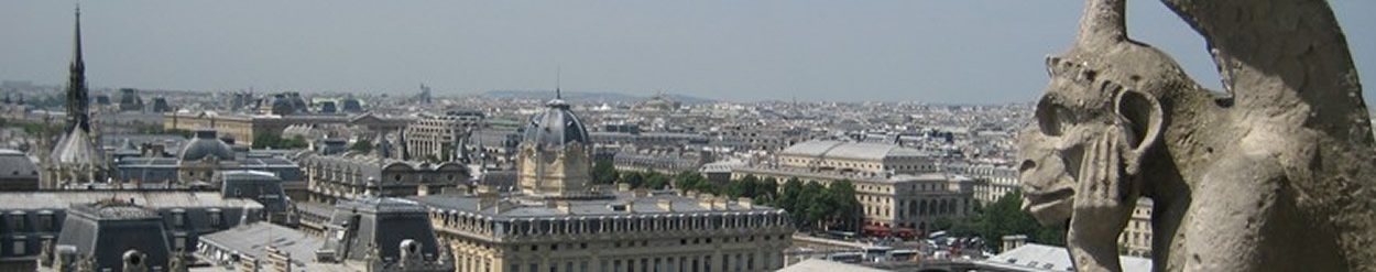 About the department banner: photo, view of Paris from Notre Dame