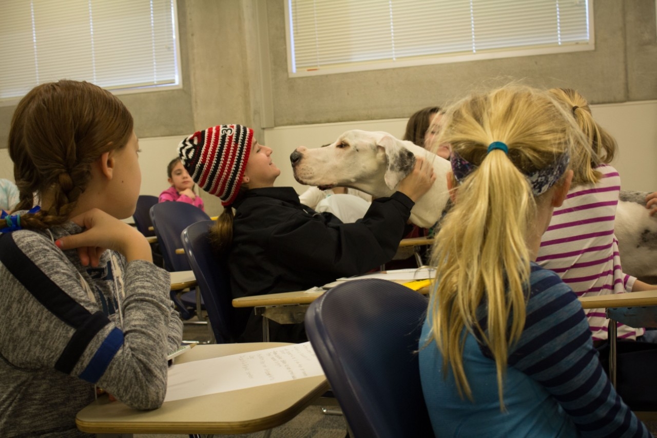 You Can Be a Veterinarian at NKU's Camp Innovation Program