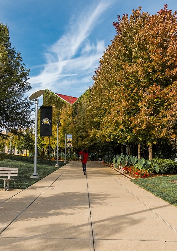 Virtual Visit: Griffin Hall on NKU campus lit up with colorful lights at dusk