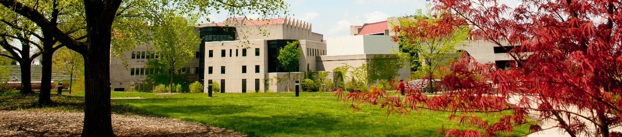 Spring shot of trees framing NKU Campus buildings
