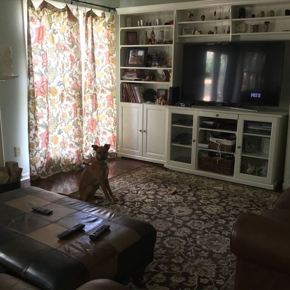 Humans of Greater Cincinnati Post: A livingr oom with the TV off and a dog sitting at attention. 
