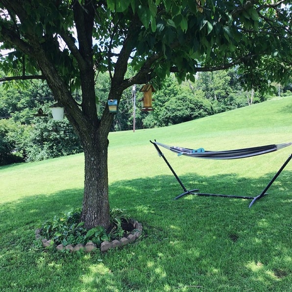 Humans of Greater Cincinnati Post: A backyard with lots of green grass and a tree with hammock in it's shade.