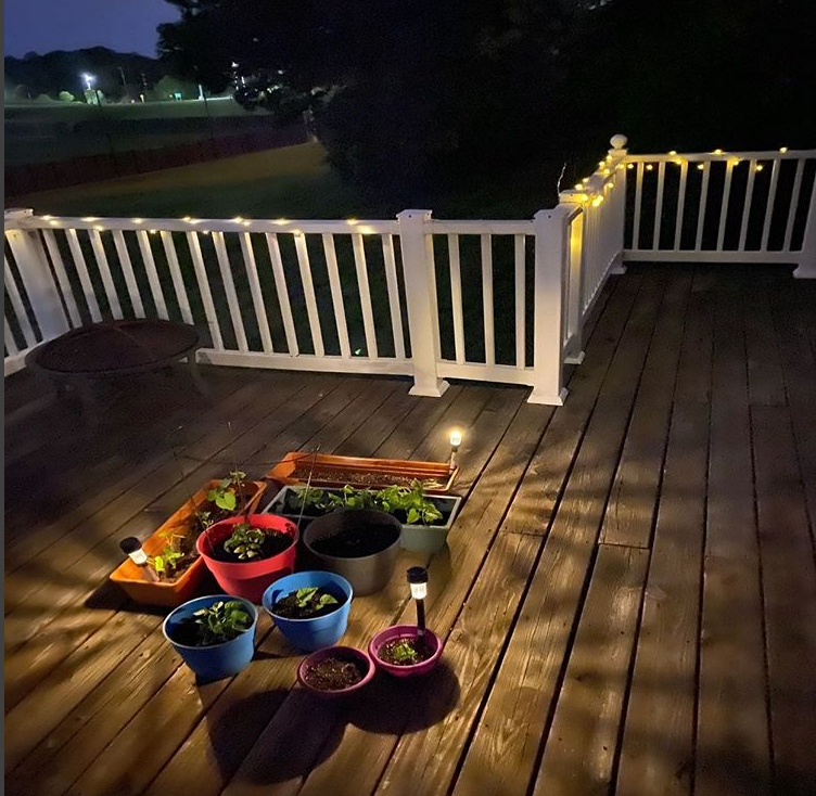 Humans of Greater Cincinnati Post: potted plants on a deck