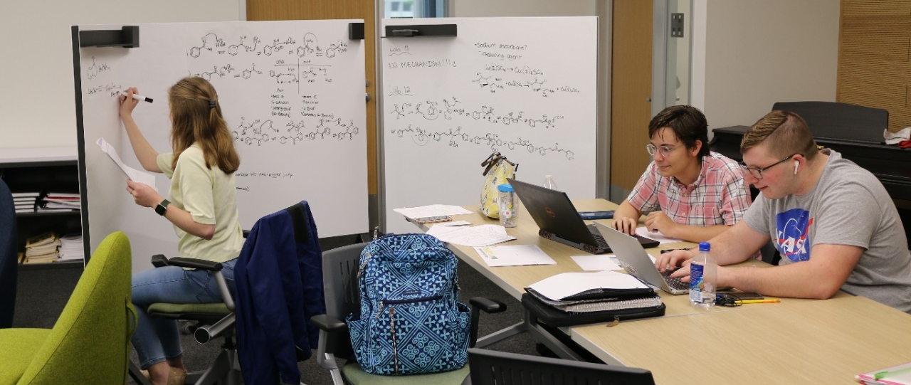 students studying in honors lounge