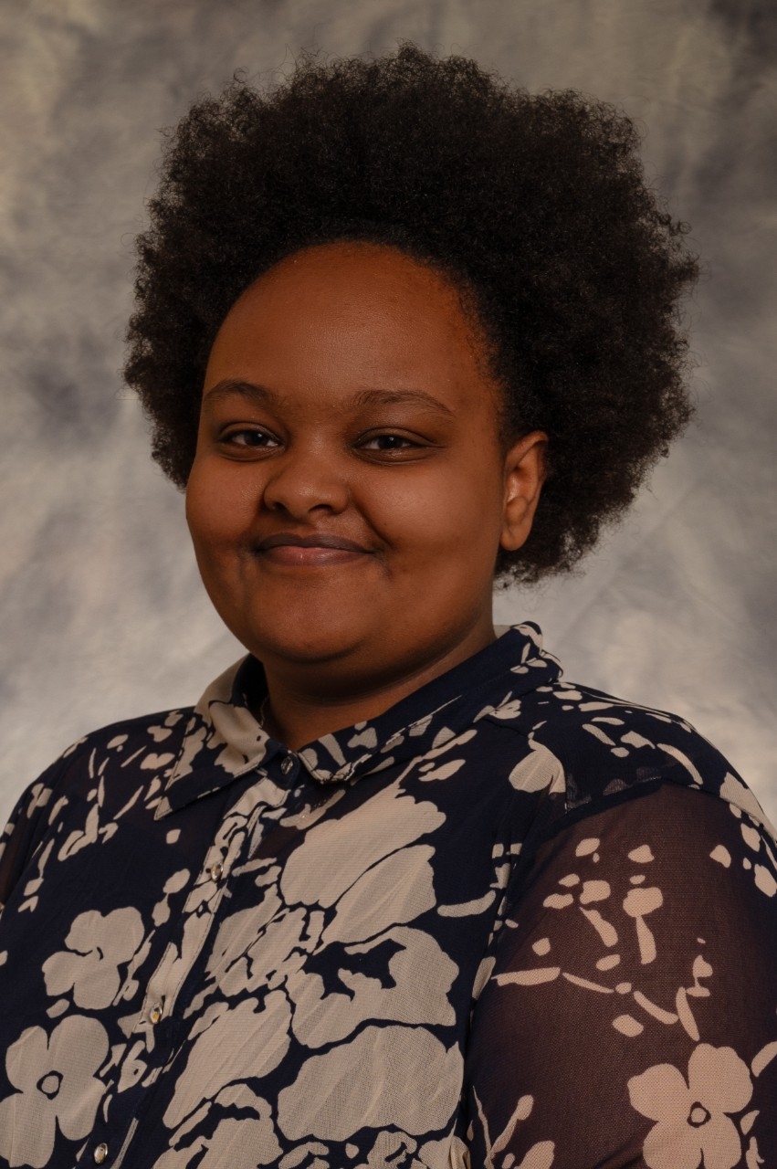 Bitanya Shewanigzaw Adane