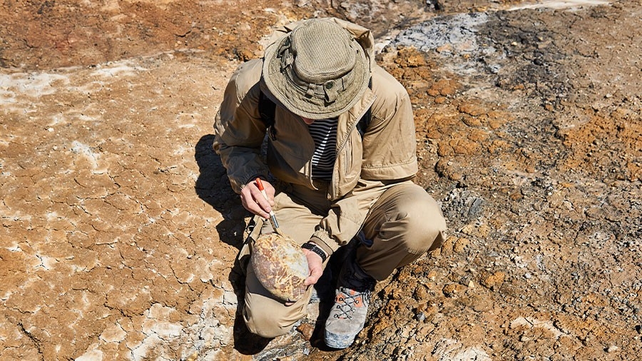 A paleontologist brushes a rounded ovoid fossil in a desert