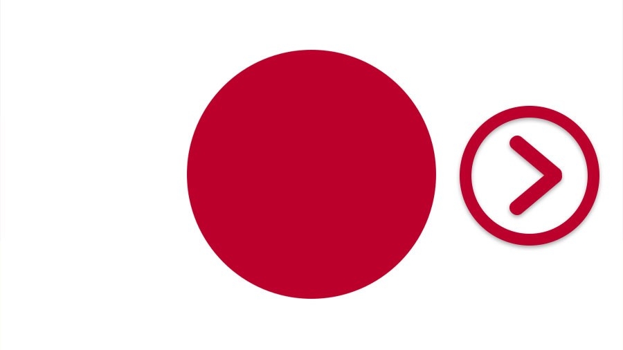The Japanese flag