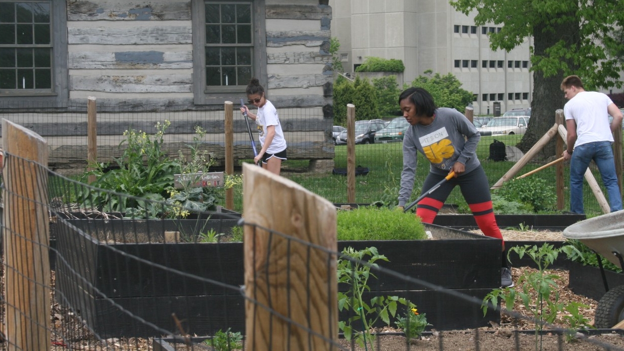 Students working outside garden on NKU campus