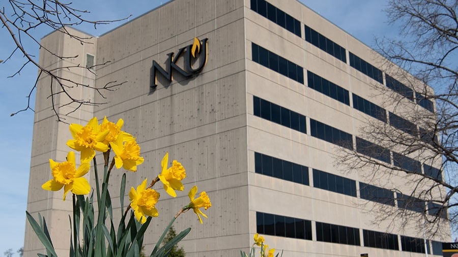 Yellow flowers on NKU's campus. 
