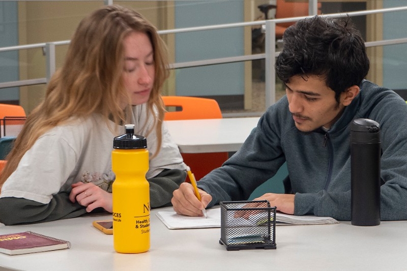 peer tutor and student working together